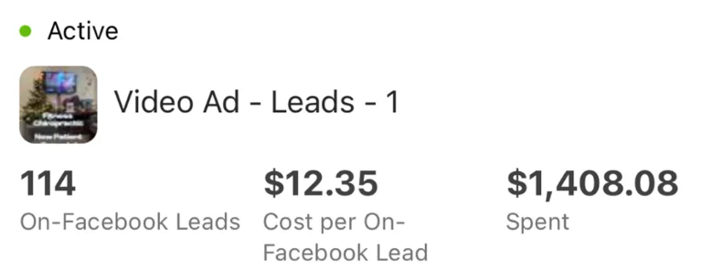 Professional Services campaign results